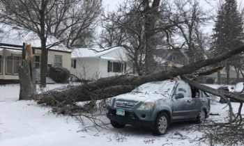 Power outages affect southwest MN