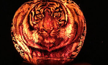 Minnesota Zoo hosts Jack-O-Lantern Spectacular